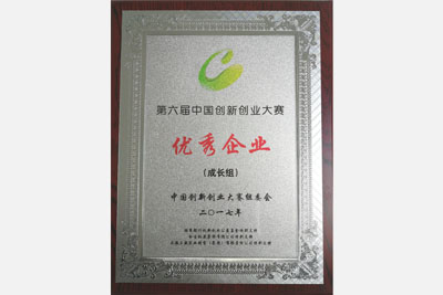 第六屆中國創新創業大賽優秀獎獎牌